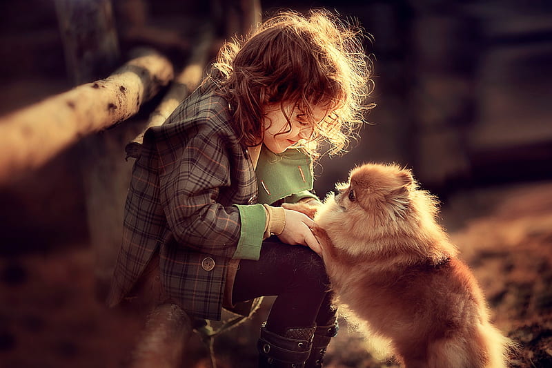 Little Girl, Girl, Dog, Playing, Child, HD wallpaper