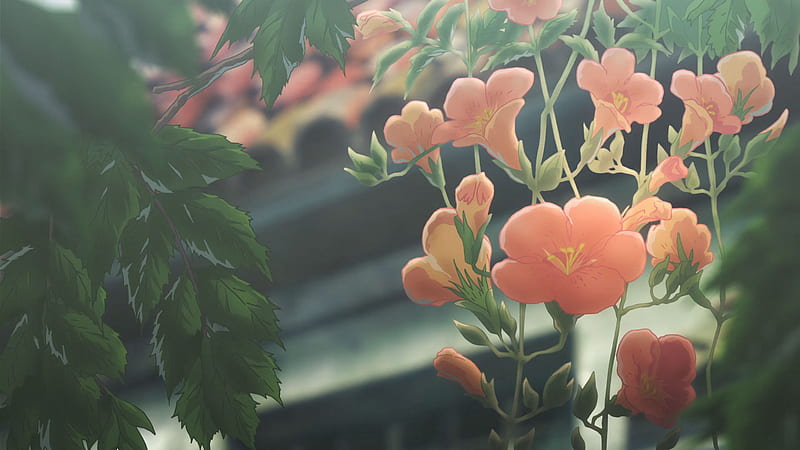Chill Lo Fi • For You, Chill Flower, HD wallpaper