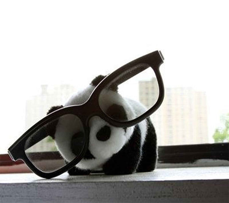 Panda, cute, HD wallpaper