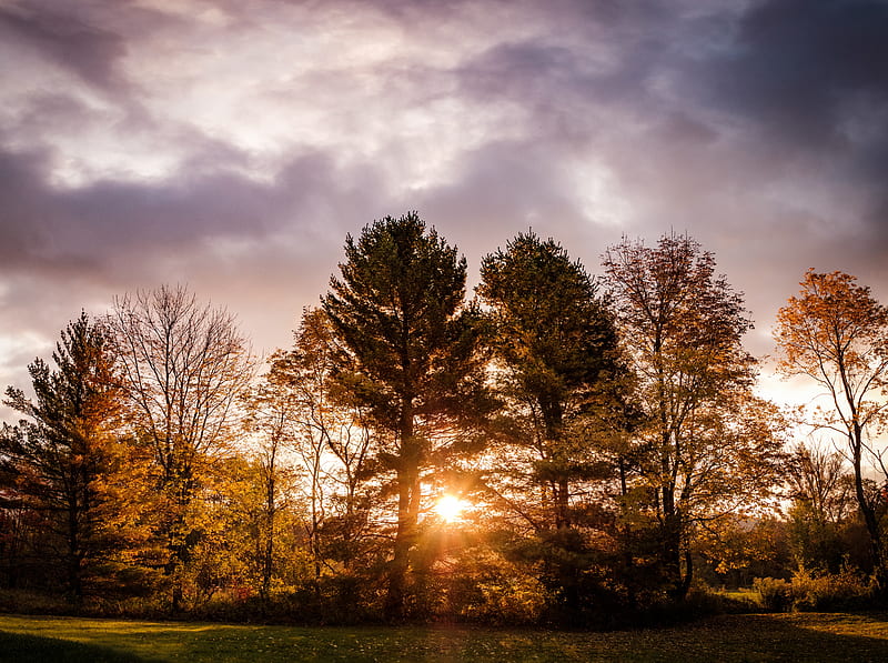 Its Autumn Ultra, Seasons, Autumn, Sunrise, Nature, Landscape, Trees, Morning, Dawn, Contrast, America, Clouds, Fall, Vermont, Fuji, foliage, Natural, goldenhour, fujifilm, unitedstatesofamerica, naturegraphy, fujifilmxt2, fujixt2, waterbury, fujifilm1855, waterburycenter, xf1855, xf1855mmf284rlmois, HD wallpaper