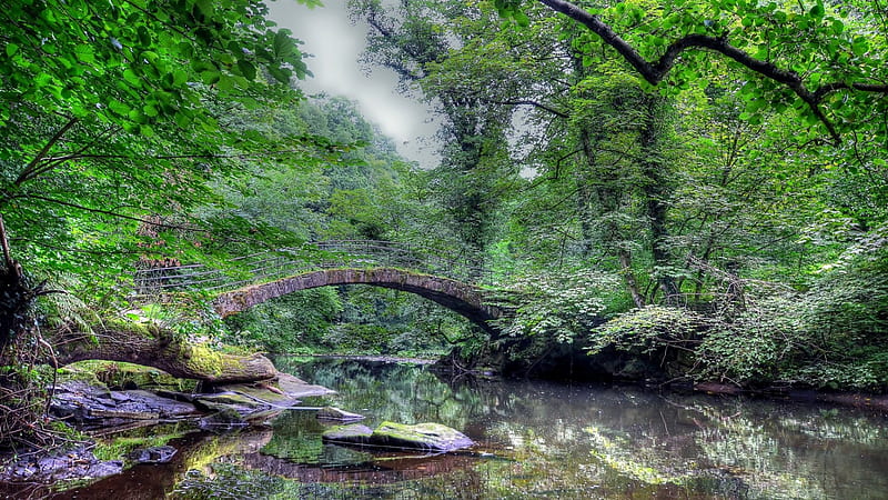 lovely arched stone bridge r, forest, arch, stone, bridge, river, r, HD wallpaper