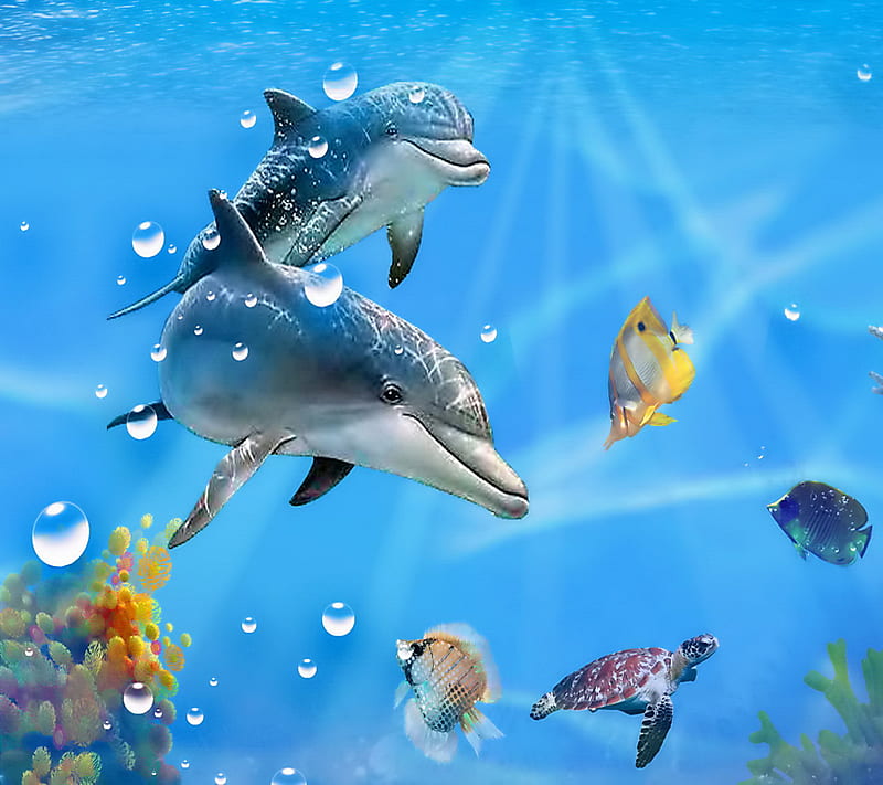 Dolphins, underwater, HD wallpaper