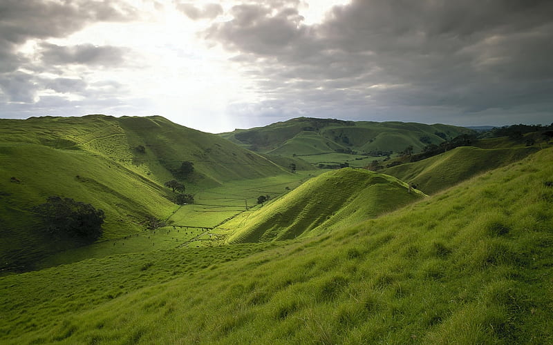 Green hill and sun in dark sky, sun, grass, spring, skies, green, mountains, nature, fields, dark sky, hill, cows, HD wallpaper