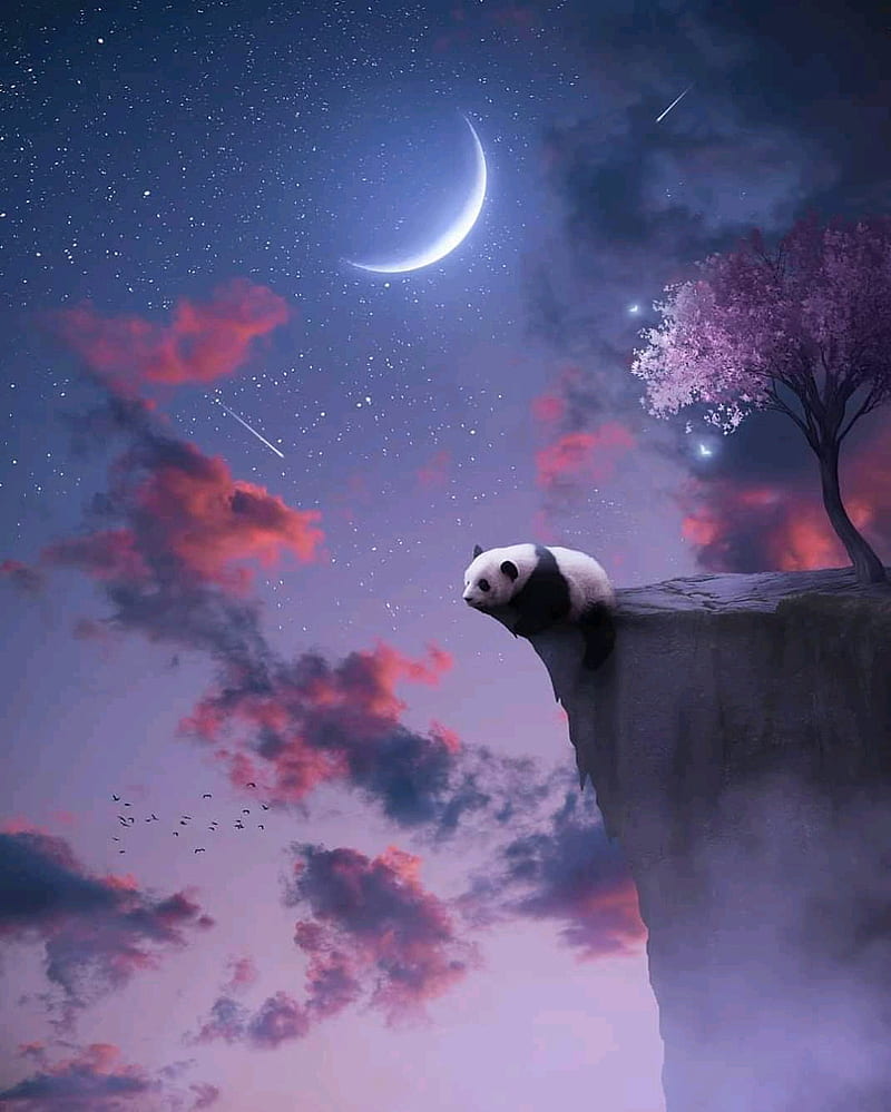 Panda night, bonito, moon, night, panda, sky, HD phone wallpaper