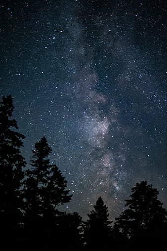 Silhouette of trees across starry sky, HD phone wallpaper | Peakpx