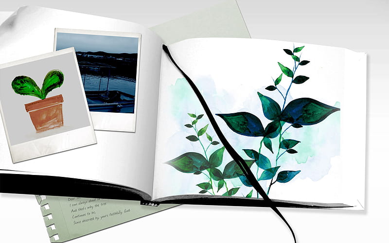 Art and Design Creative Design Painting Book 7005, HD wallpaper