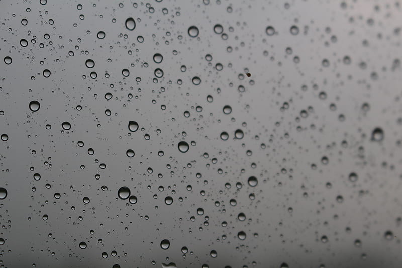bw, drops, glass, rain, macro, HD wallpaper