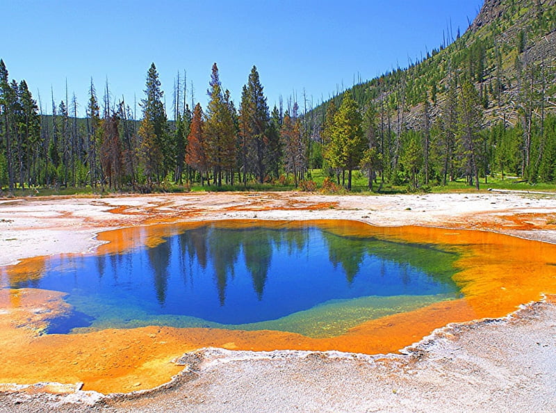 Yellowstone National Park Photos Download The BEST Free Yellowstone  National Park Stock Photos  HD Images