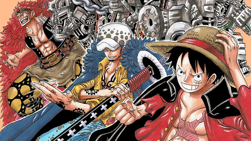One Piece, Monkey D. Luffy , Trafalgar Law , Eustass Kid, HD wallpaper