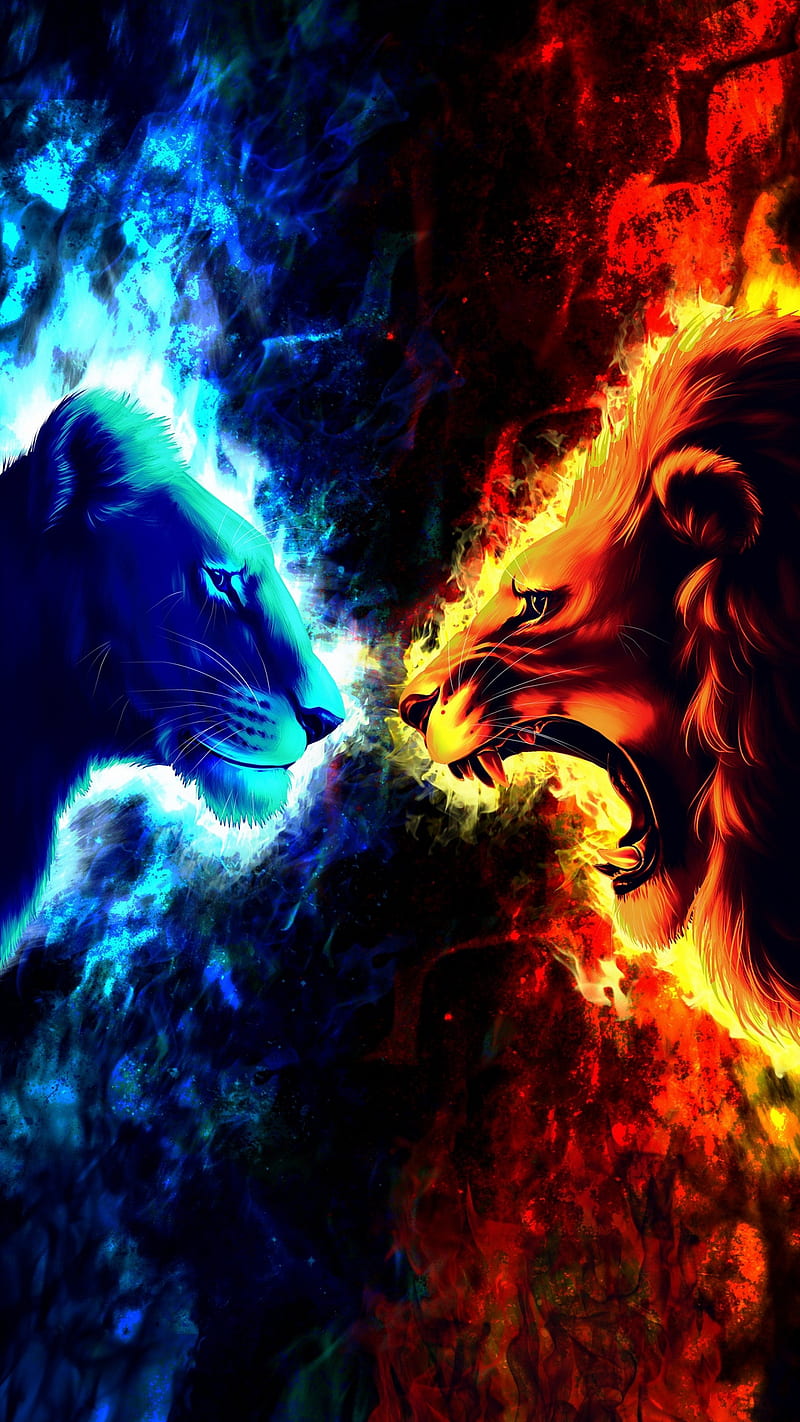 Fire and ice, 3d, animal, burn, cold, face to face, lion, lions, wild, HD phone  wallpaper | Peakpx