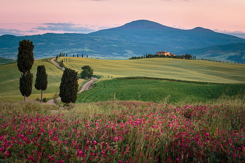 graphy, Tuscany, Italy, Landscape, Spring, HD wallpaper