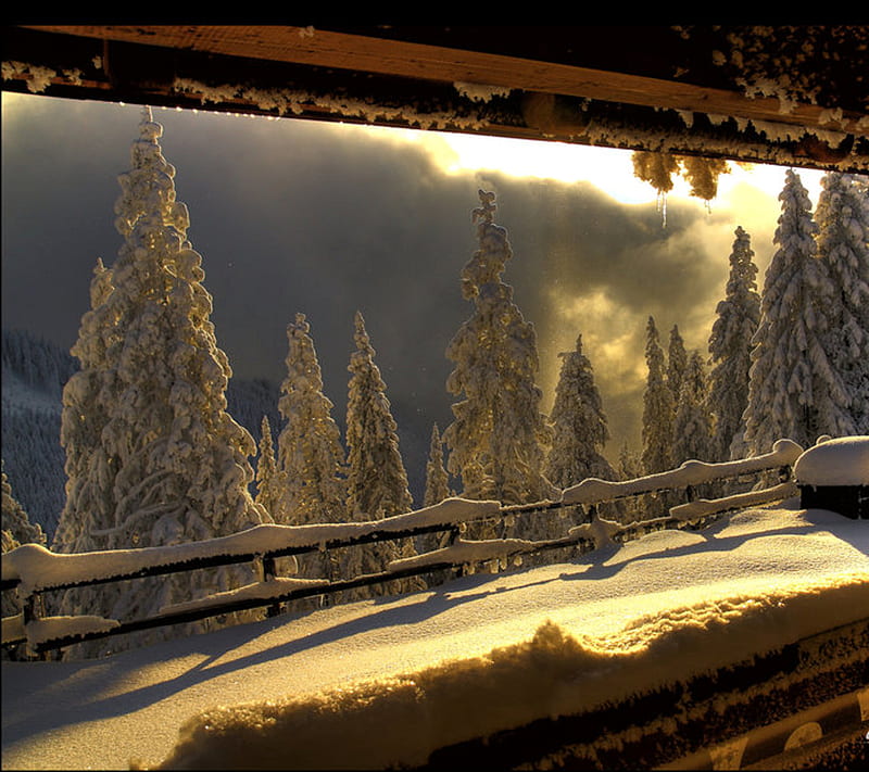 Snow View, cold, fence, light, scene, sky, snow, sun, view, winter, HD wallpaper