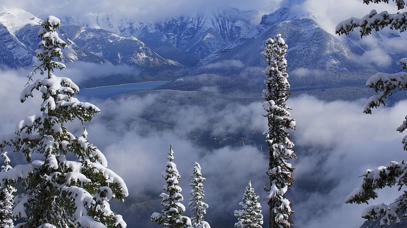 Lake Minnewanka, Banff NP, Alberta, winter, fog, snow, landscape, trees, canada, water, reflections, HD wallpaper