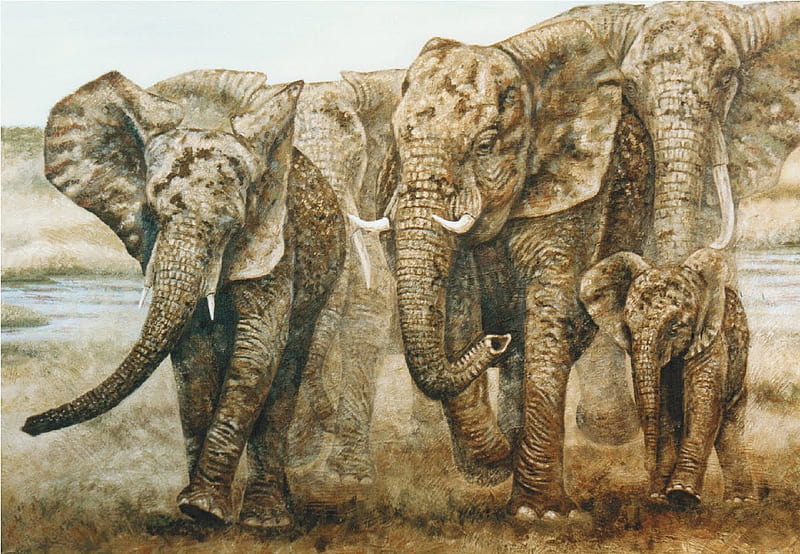 HD female elephant wallpapers | Peakpx