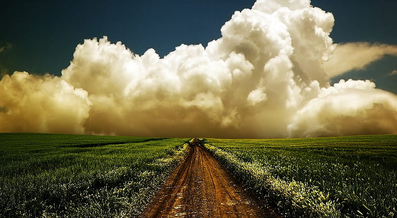 Road to Heaven, grass, sky, road, clouds, field, HD wallpaper