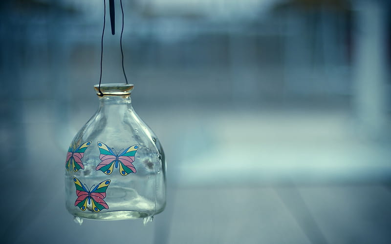 Bottle, glass, butterfly, jar, blue, HD wallpaper | Peakpx