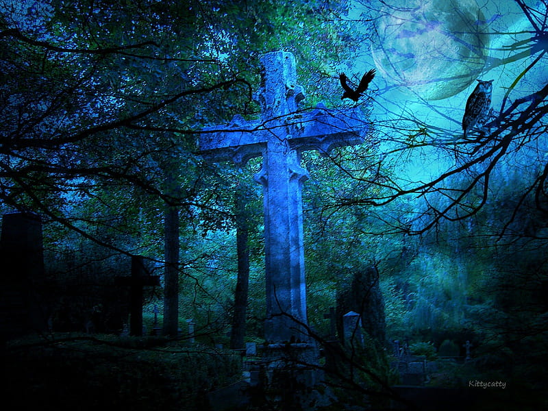 Haunted Place , owl, raven, haunted, trees, grave, tombstone, moon, spooky, dark, sad, scary, graveyard, Halloween, cross, blue, night, HD wallpaper