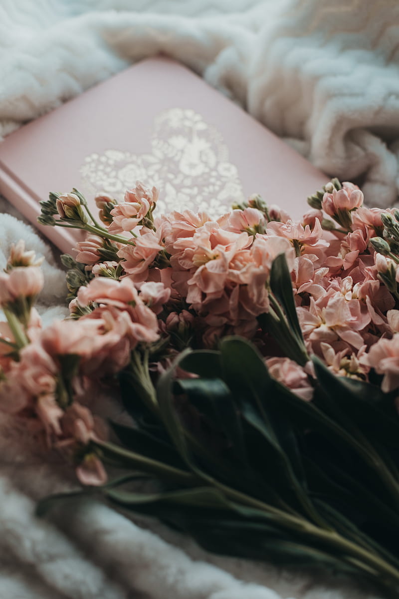 flowers, bouquet, pink, book, plaid, HD phone wallpaper