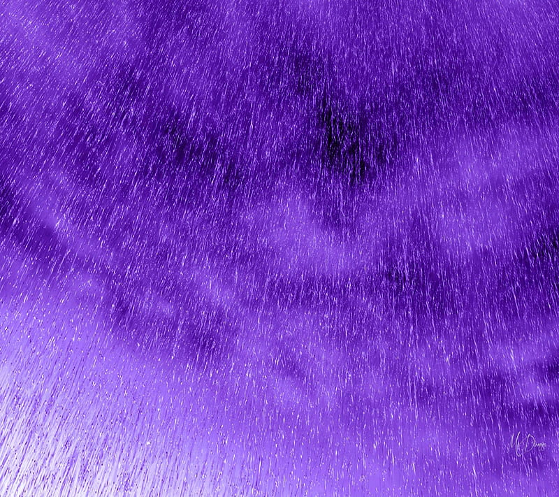 Purple Rain Wallpapers  Top Free Purple Rain Backgrounds  WallpaperAccess