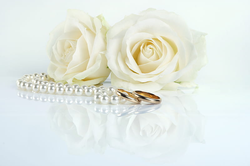 White Harmony, rose, bonito, rings, still life, graphy, nice, gentle, love, pearls, harmony romance, holiday, necklace, roses, wedding, elegantly, cool, bouquet, white, HD wallpaper