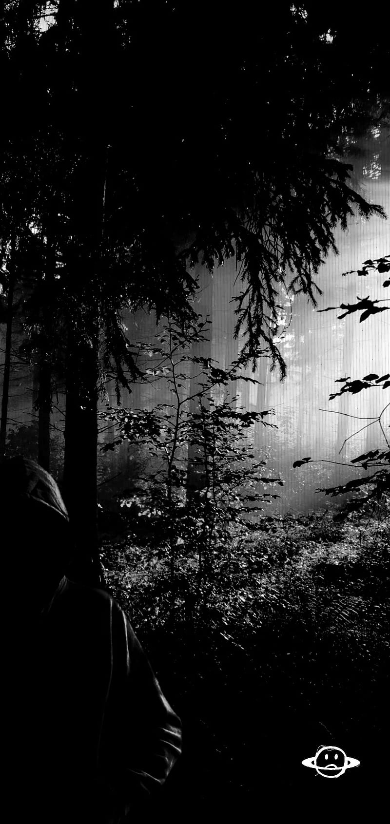 Midnight , black, dark, flowers, forest, sad, woods, HD phone wallpaper