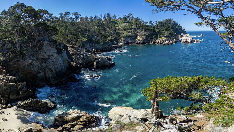 Beautiful day at Point Lobos south of Monterey, California, pacific, coast, trees, rocks, usa, ocean, stones, HD wallpaper