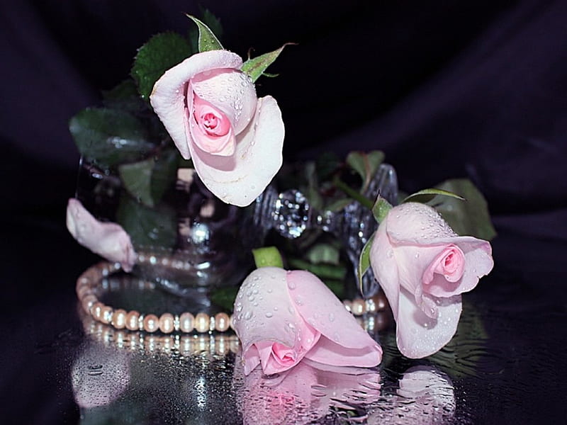 Pink roses, glass, flowers, roses, jewelry, HD wallpaper | Peakpx