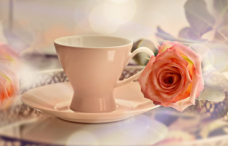 Do you wanna some coffee :), good morning, coffee break, pink cup, rose, HD wallpaper