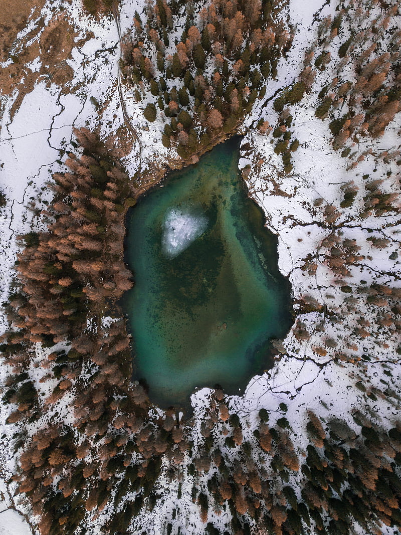 lake, trees, aerial view, snow, winter, HD phone wallpaper