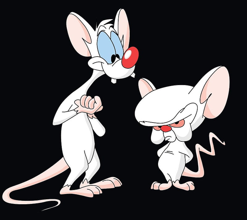 Pinky And The Brain, cartoons, HD wallpaper
