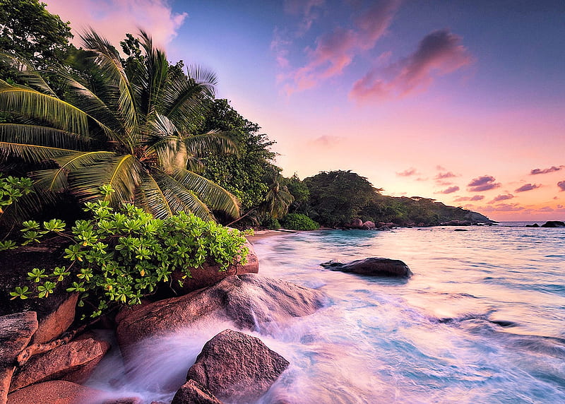 Sunset at Praslin Island, Seychelles, cliff, sky, Sea, rocks, palm ...