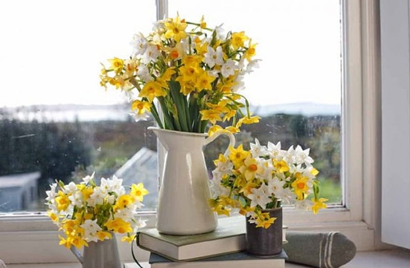 daffodils on a window sill, still life, window sil, abstract, daffodils, HD wallpaper