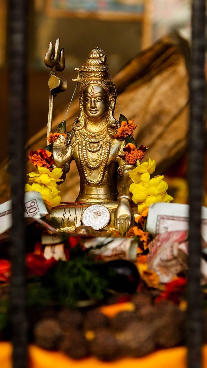 Mahadev New, Golden Statue, hindu god, bhakti, devotional, HD phone wallpaper
