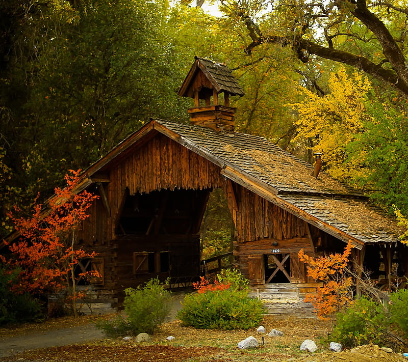 Vintage Barn, antique, barn, colorful, house, nature, old, scenic, trees, vintage, HD wallpaper