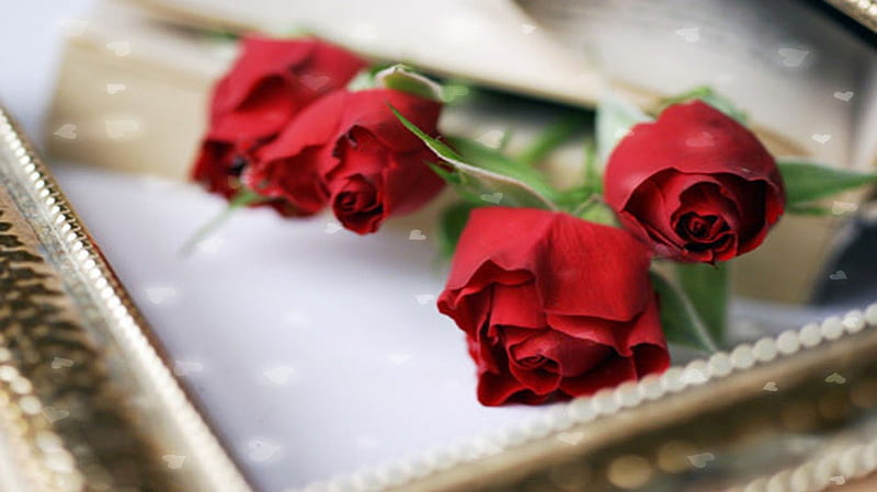 Sealed with Love, red roses, love letters, lovely, exquisite, corazones, love, romace, petals, innocences, HD wallpaper