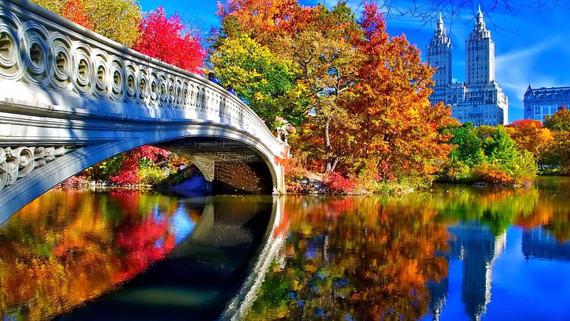 Bridge Between Body Of Water And Colorful Autumn Leafed Trees Reflection On Water In Buildings Background Nature, HD wallpaper