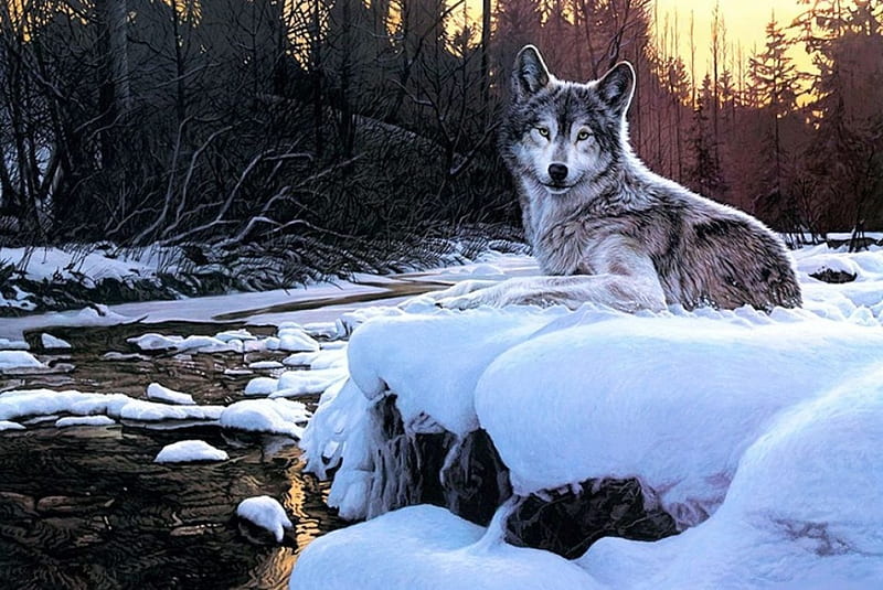 Day's End, forest, predator, snow, painting, river, wolf, artwork, winter, HD wallpaper