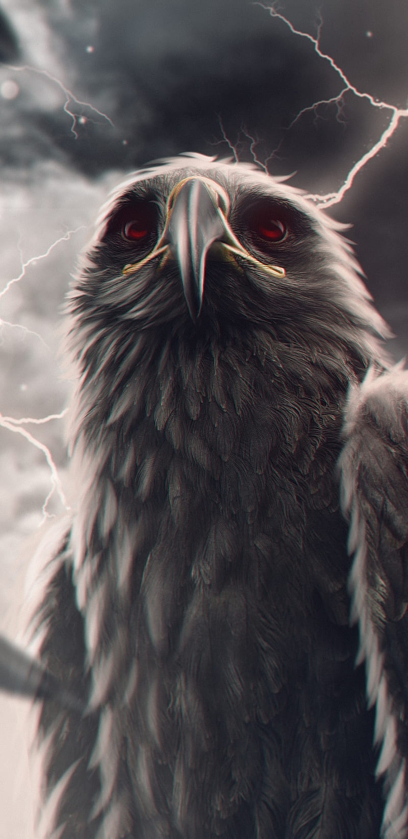 águila real, animales, águilas, iluminación, Fondo de pantalla de teléfono  HD | Peakpx