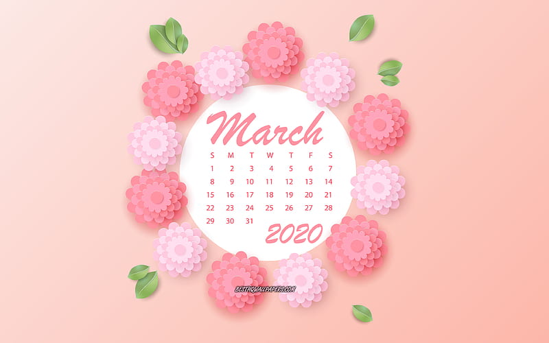 2020 March Calendar, pink background, pink paper roses, March, 2020 spring calendars, roses, March 2020 calendar, HD wallpaper