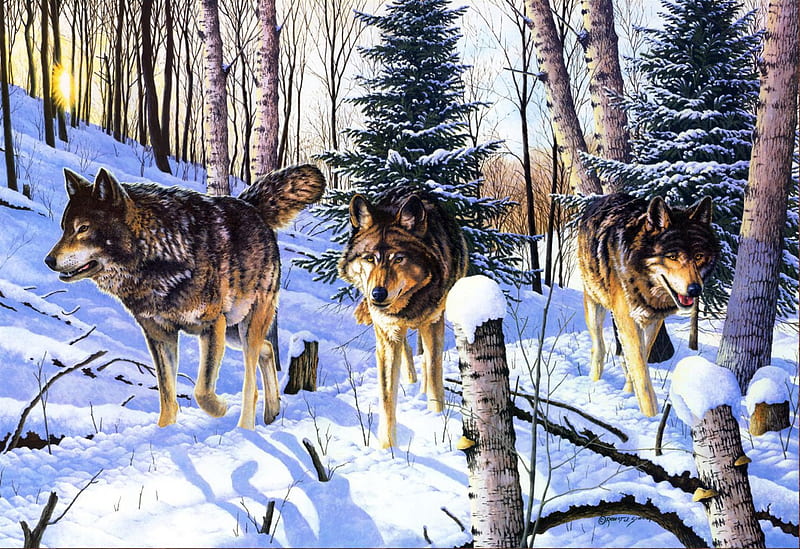 Cresta de la sombra, bosque, depredador, nieve, manada de lobos, lobo, lobos,  Fondo de pantalla HD | Peakpx