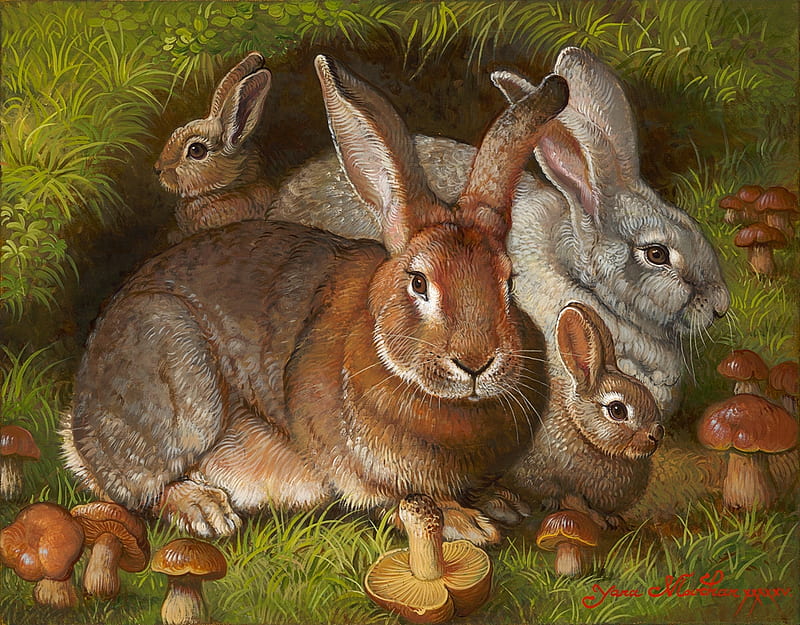 Bunnies, art, rabbit, yana movchan, brown, painting, bunny, pictura, animal, mushroom, HD wallpaper