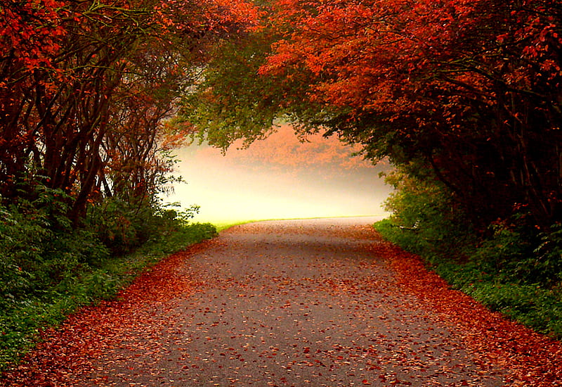 peaceful fall backgrounds