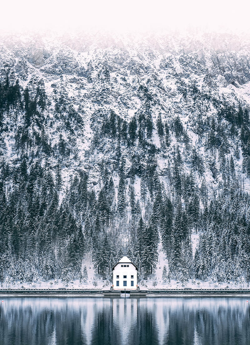 house, forest, snow, lake, HD phone wallpaper
