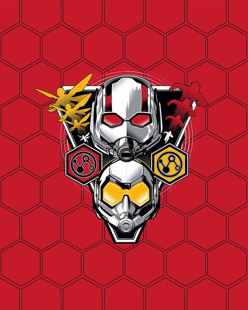 Ant man and the, avengers, marvel, netflix, the wasp, HD phone wallpaper