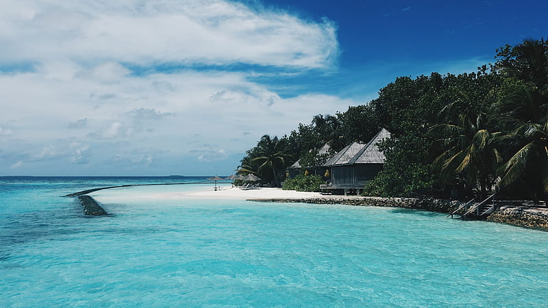 beach, maldives, bungalows, trees, tropics, summer, HD wallpaper