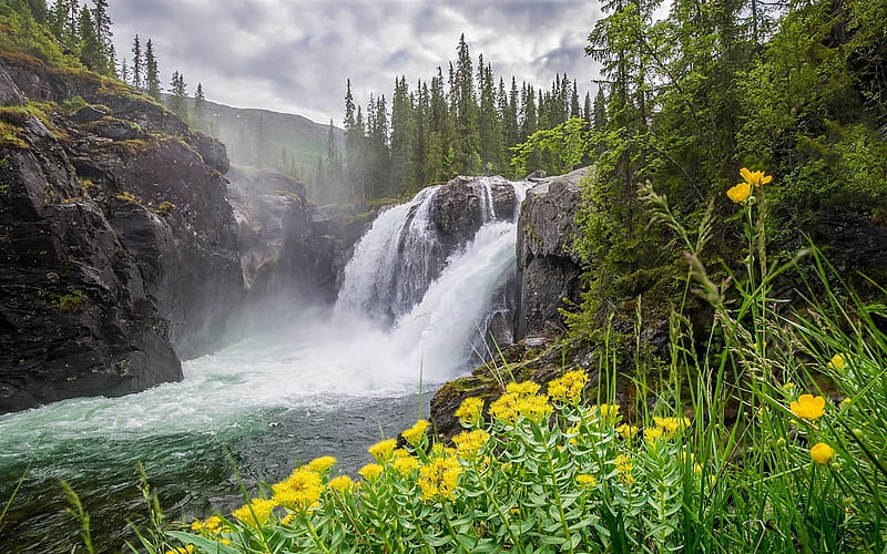 Waterfall, mountain river, mountain, green grass, mountain landscape, HD wallpaper