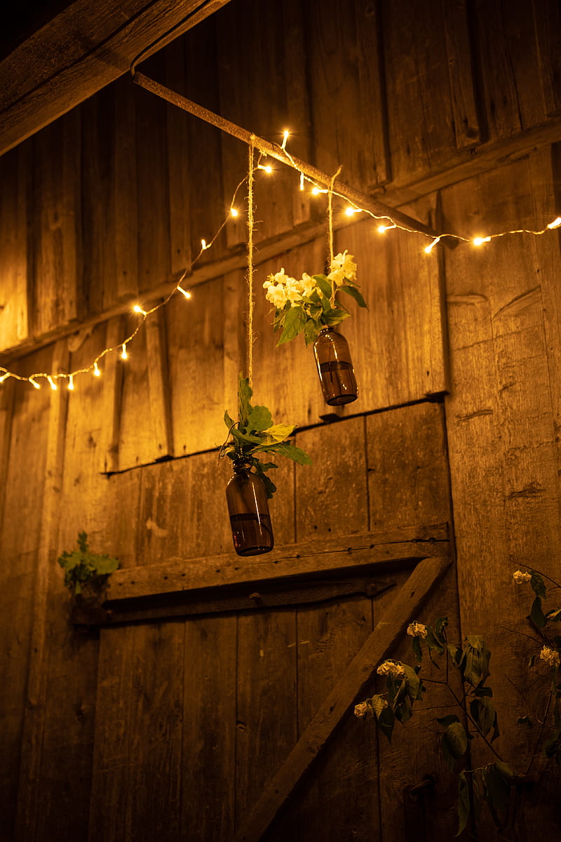 garland, bulbs, flowers, creative, decor, HD phone wallpaper