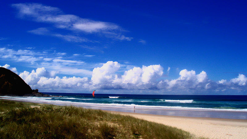 Kite Runner, beach, kite, sea, blue, HD wallpaper