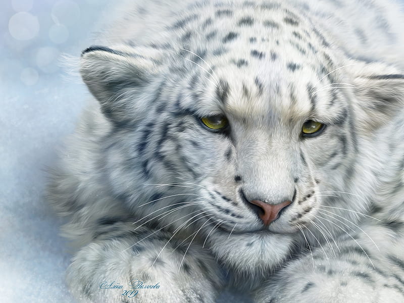 Snow leopard fantasy, fantasy, luminos, snow leopard, animal, blue, HD  wallpaper