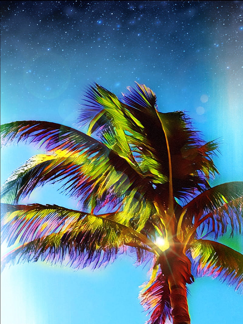 NeonLites, cigar, color, desenho, designs, neon, new, palm, palm tree, recent, tree, HD phone wallpaper